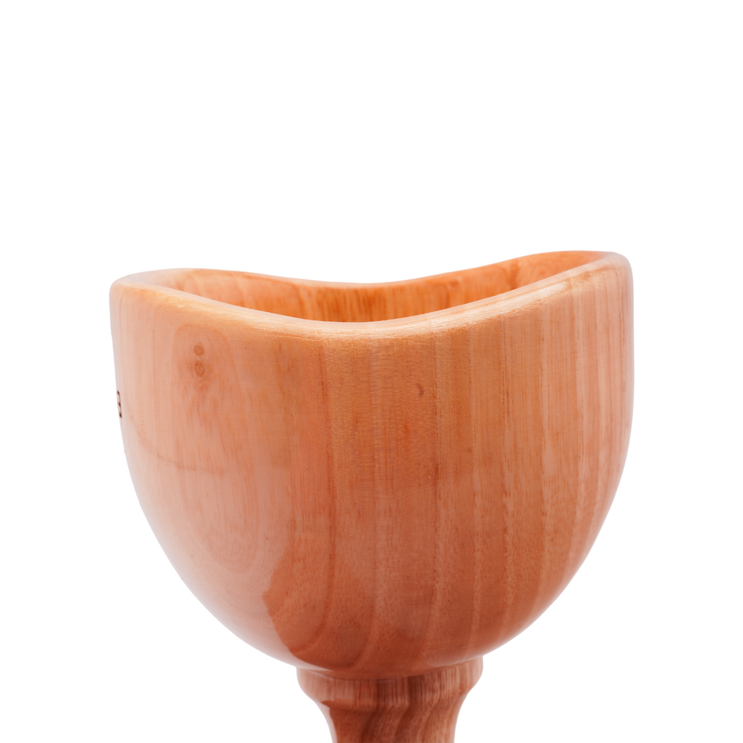 BIG SWEDISH CUP